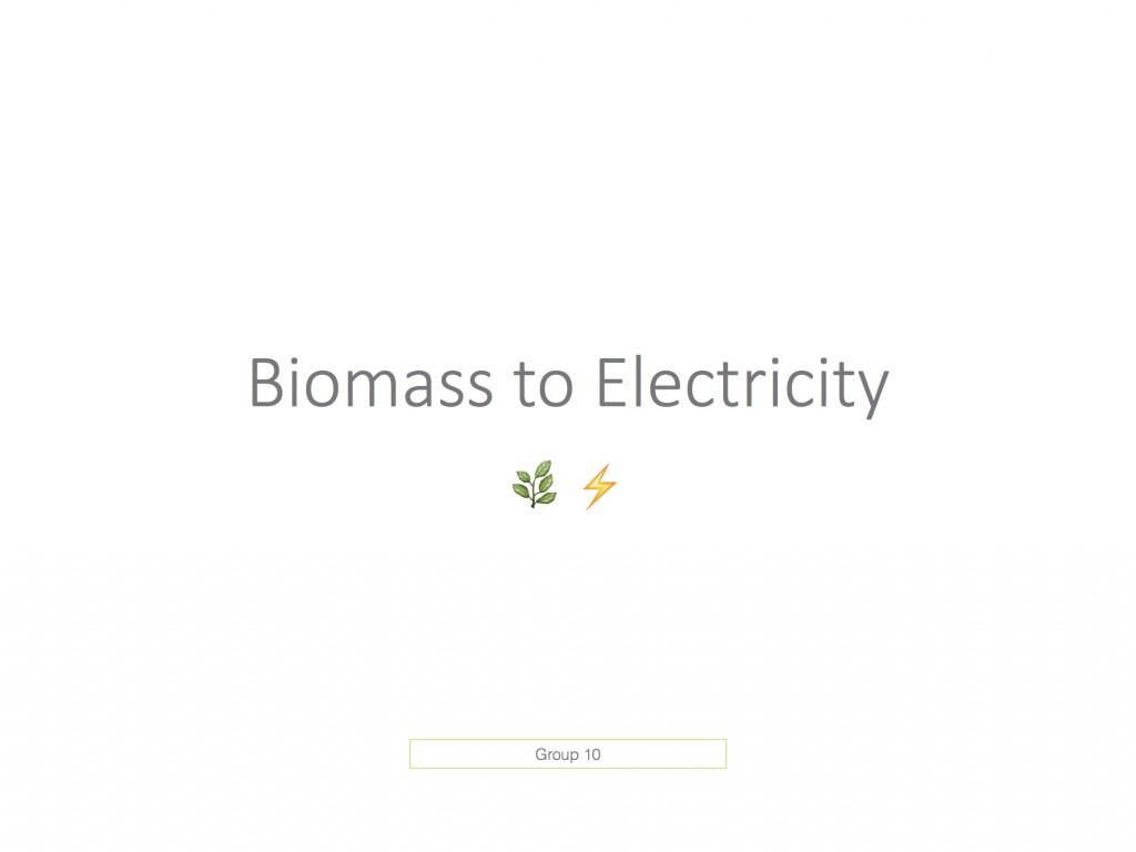 Biomass to Electricity Presentation 1