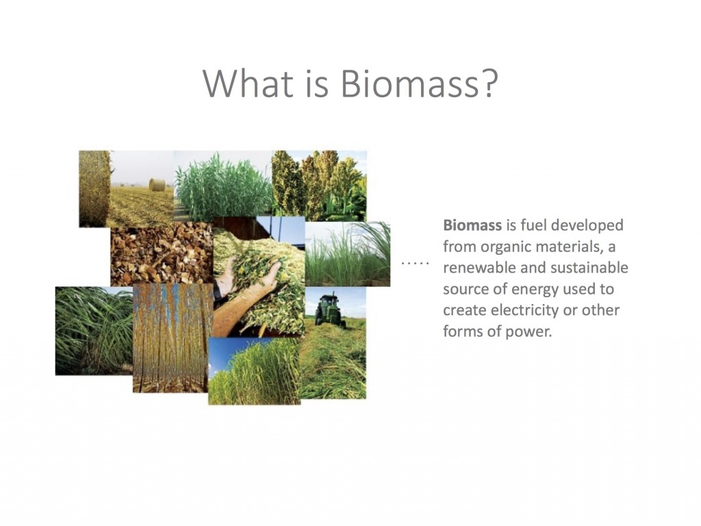 Biomass to Electricity Presentation 2