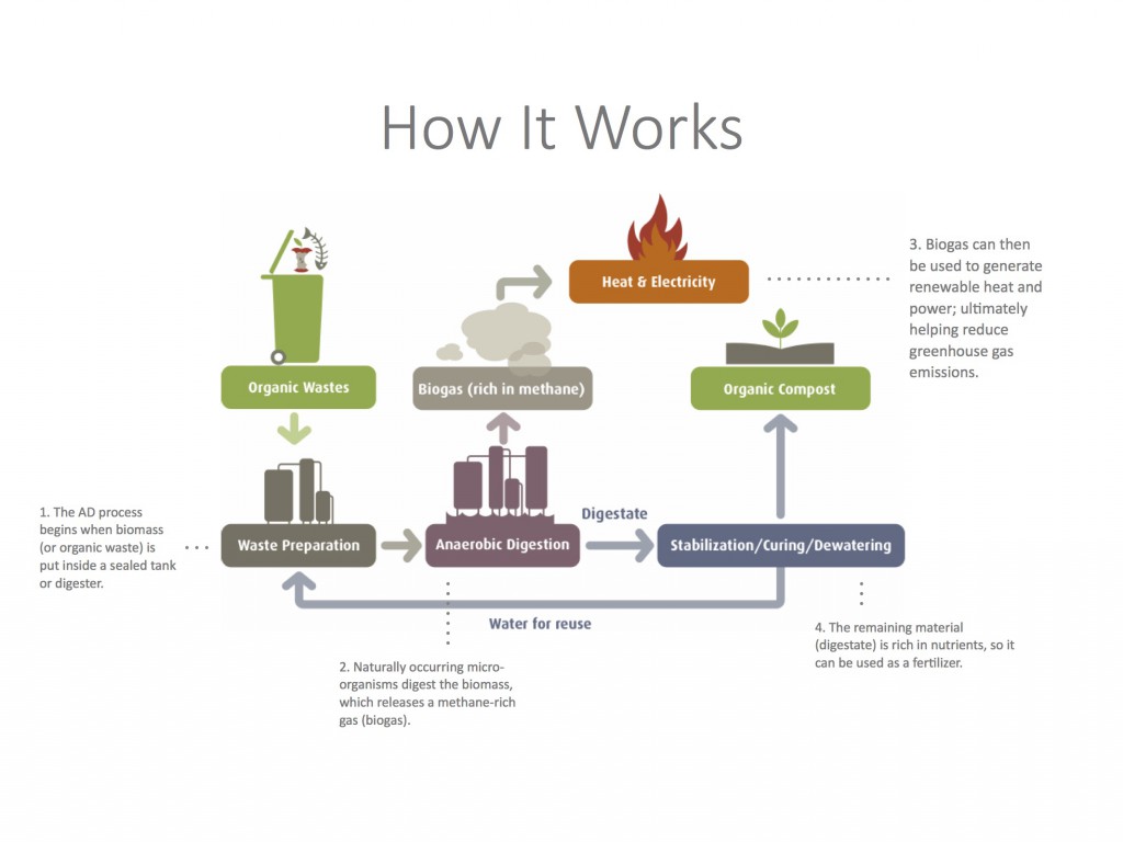 Biomass to Electricity Presentation 6